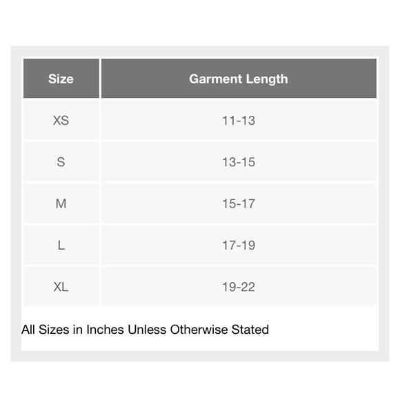 NWT Dog Shirt - Picture 3 of 3